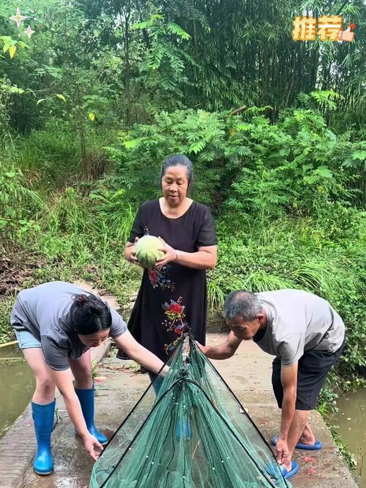 一笼在手鱼不断,智能捕鱼真简单