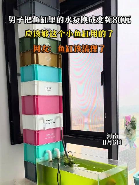 男子把鱼缸里的水泵换成变频80瓦,应该够这个小鱼缸用的了