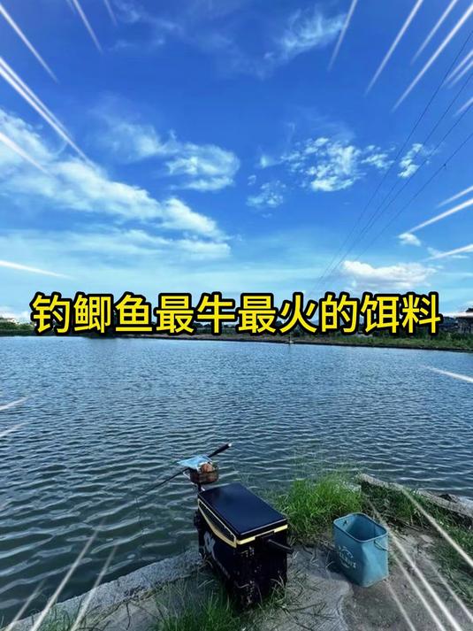 钓鱼高手必备，最受追捧的鲫鱼饵料配方！