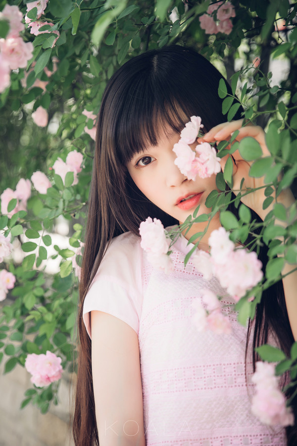 图片[3]-Blooming rose-六色网