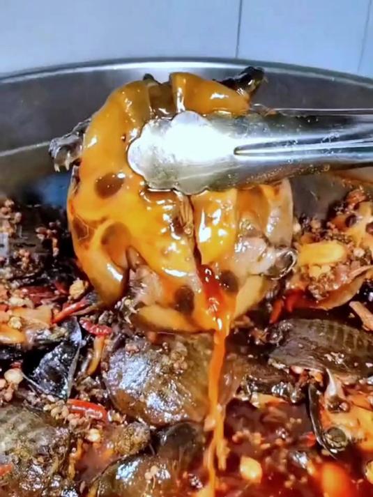 给老公的下酒菜!麻辣甲鱼,开袋即食超方便!