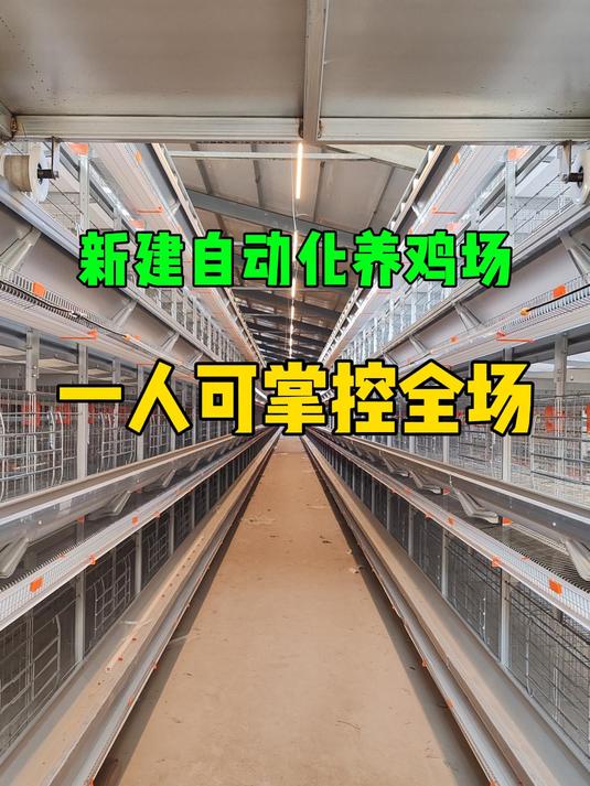 自动化养鸡场 一人可掌控全场