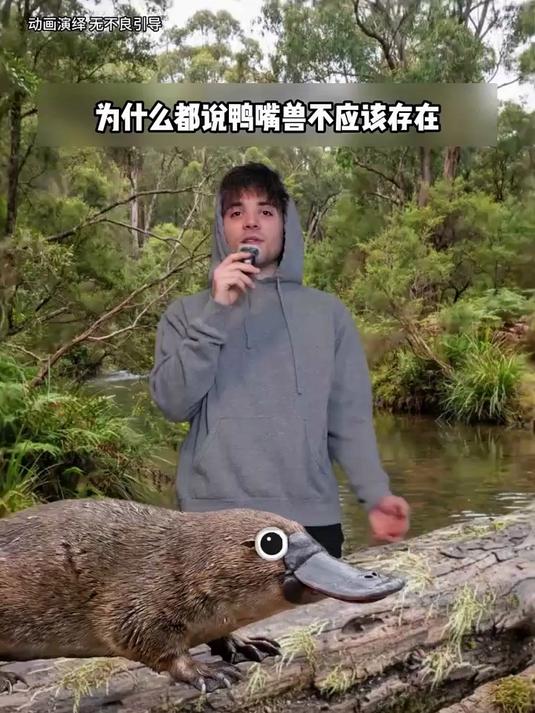 鸭嘴兽