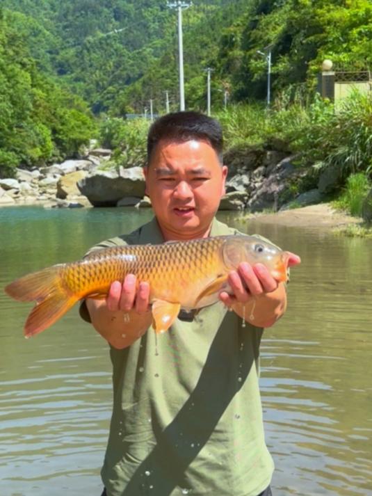 今天来小水库撒网捕鱼，收获大鲤鱼和大鲫鱼