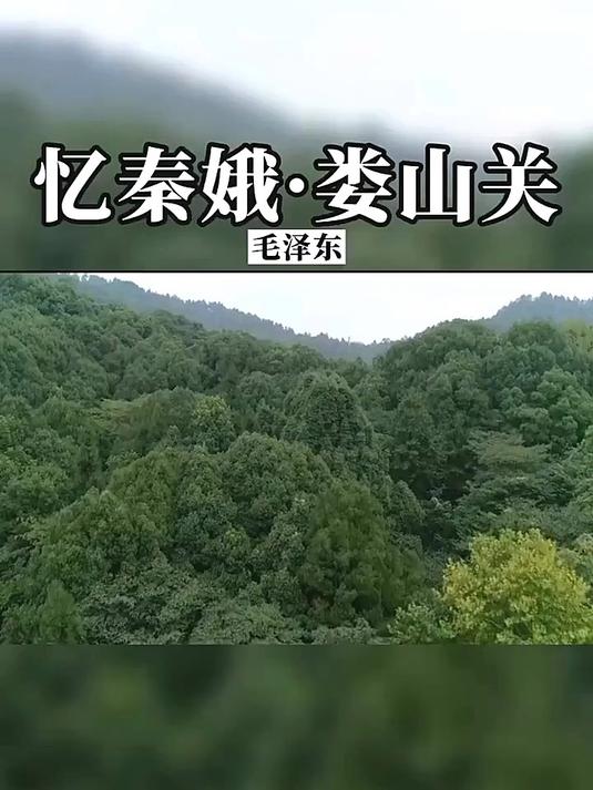 雄关漫道真如铁,而今迈步从头越——《忆秦娥·娄山关》