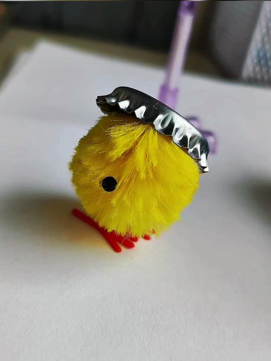 小鸡不好惹