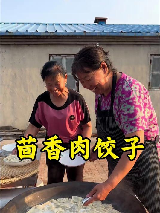 「茴香肉饺子」今天老妈包的茴香肉馅水饺