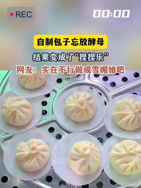 自制包子忘放酵母,结果变成了“捏捏乐”,网友:实在不行做成雪媚娘吧