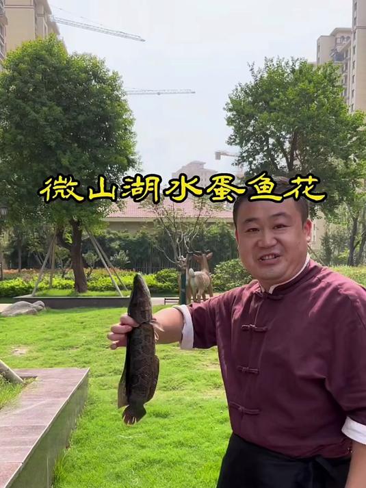 微山湖特色菜水蛋鱼花,展示给大家