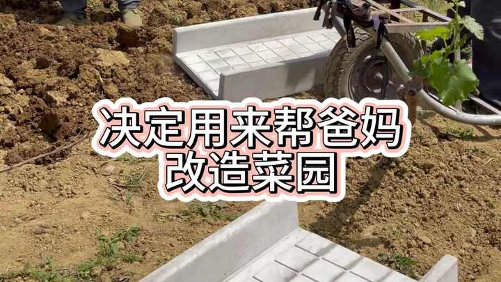 100平的小菜园这样改造大家觉得怎么样?