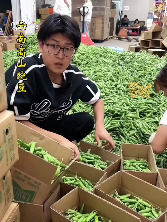 以生吃的新鲜甜豌豆炒菜焖饭煲汤都可以