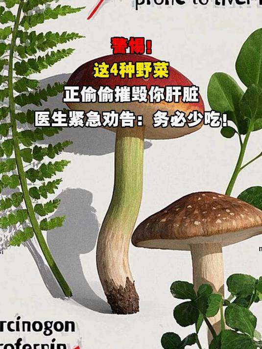 警惕!这4种野菜,正偷偷摧毁你肝脏,医生紧急劝告:务必少吃!