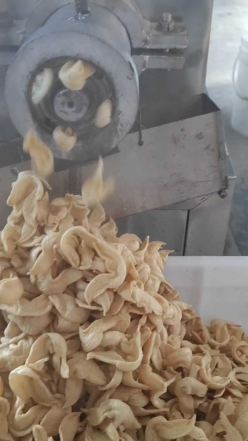素鸡翅生产,豆皮机一机多用可以做豆皮也可以做素鸡翅豆鱼等