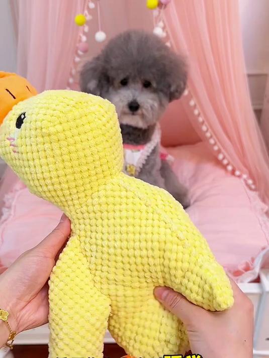 这个小黄鸭毛绒玩具真的太喜欢了