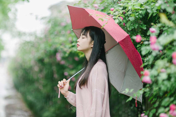 图片[4]-雨中蔷薇-六色网