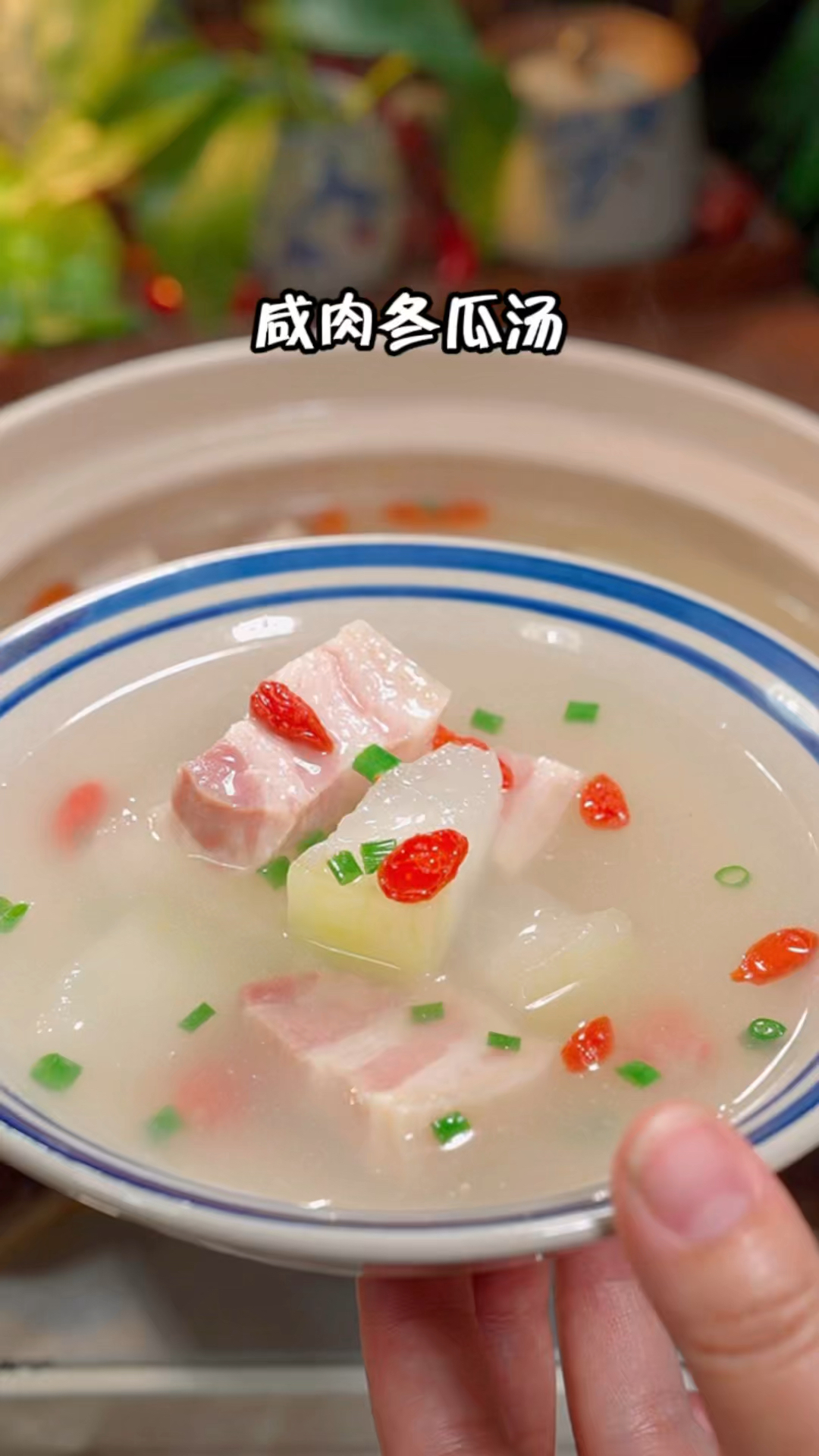 现在的冬瓜很新鲜,用它做一碗咸肉冬瓜汤喝,做法简单,家人都喜欢