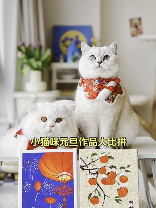 原来小猫咪也有画画天赋