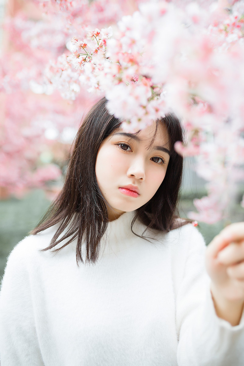 图片[8]-樱花物语-六色网