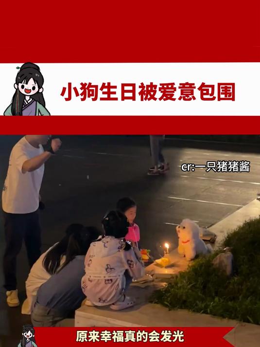小狗生日被爱意包围