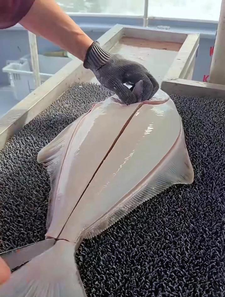 你知道这什么鱼吗?看老外都是如何杀鱼的,看起来很丝滑很解压啊