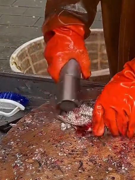 大娘买鱼钱不够 老板的做法让你惊掉下巴