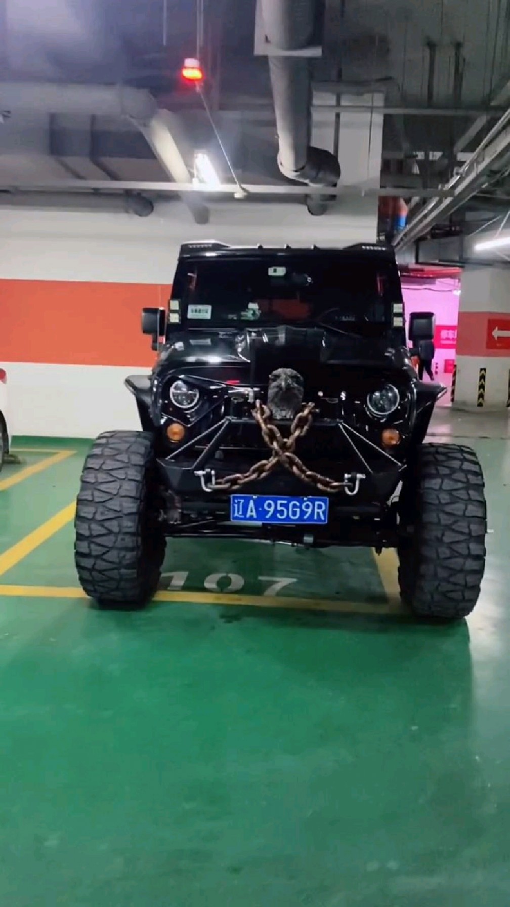 牧马人的鸡头车标