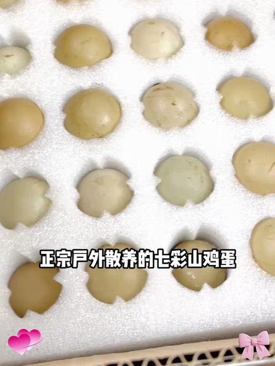 山林间的七彩珍宝——七彩山鸡蛋,大自然馈赠的独特美味
