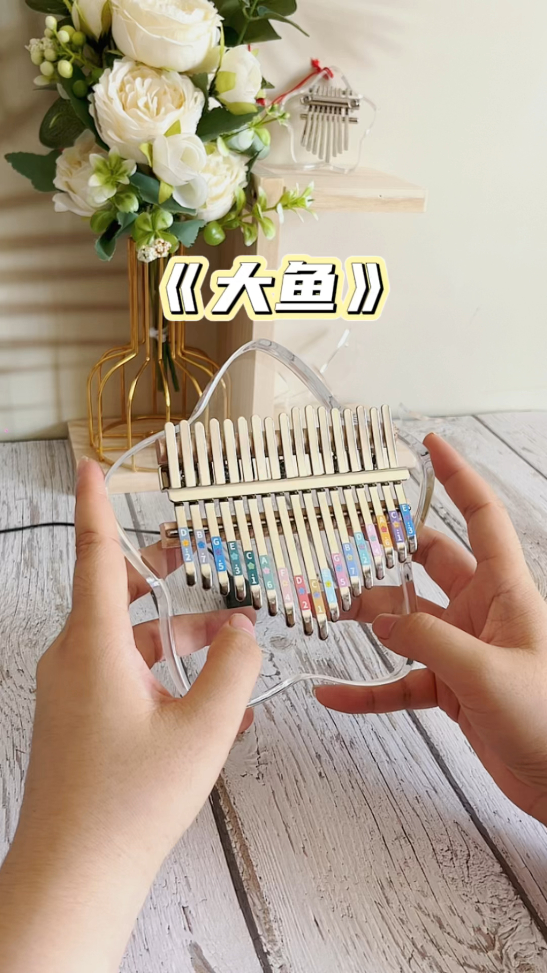 《大鱼》拇指琴演奏