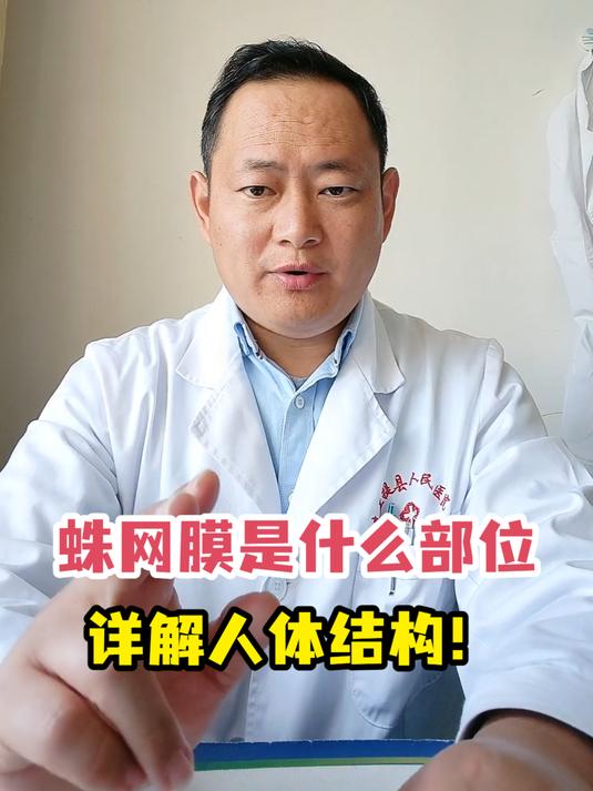 蛛网膜是什么部位?详解人体结构!