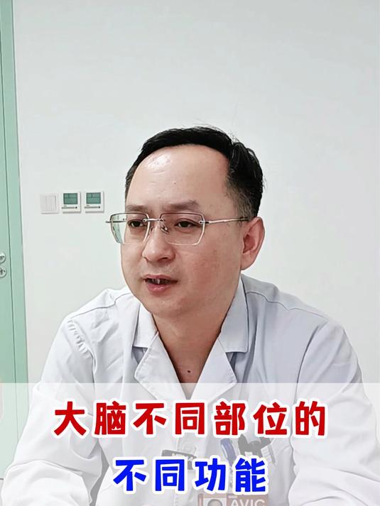 大脑不同部位的不同功能,看看自己哪方面比较突出