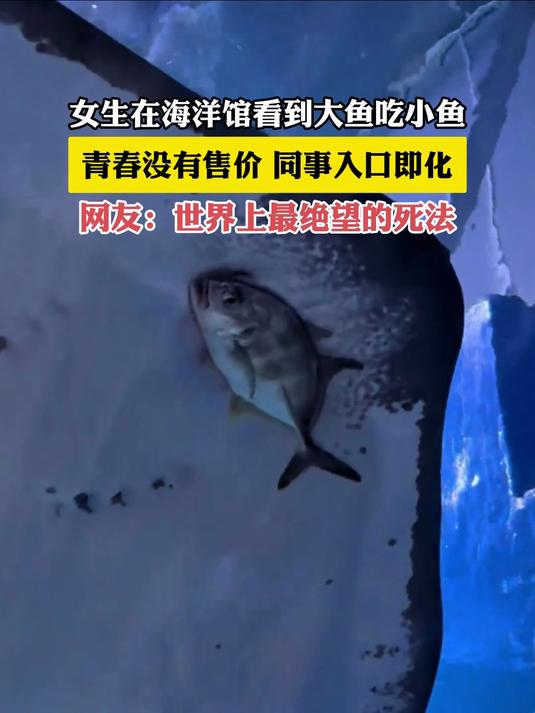 女生在海洋馆看到大鱼吃小鱼,青春没有售价,同事入口即化