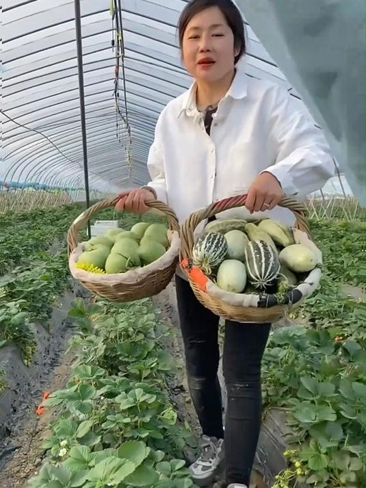 几毛钱一斤,连普通菜瓜都买不到,更何况绿宝石甜瓜