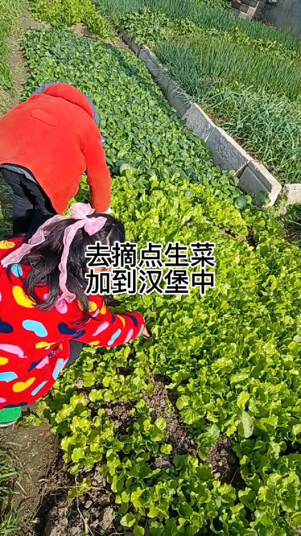 今天在家自己做汉堡吃,味道很不错