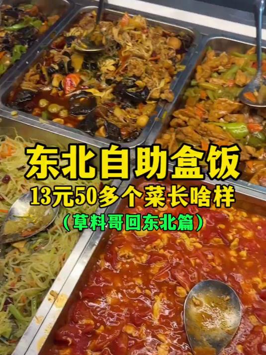 东北自助盒饭13元50多个菜长啥样?