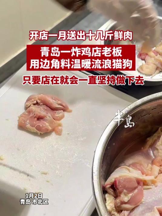 开店一月送出十几斤鲜肉！青岛炸鸡店老板，用边角料温暖流浪猫狗
