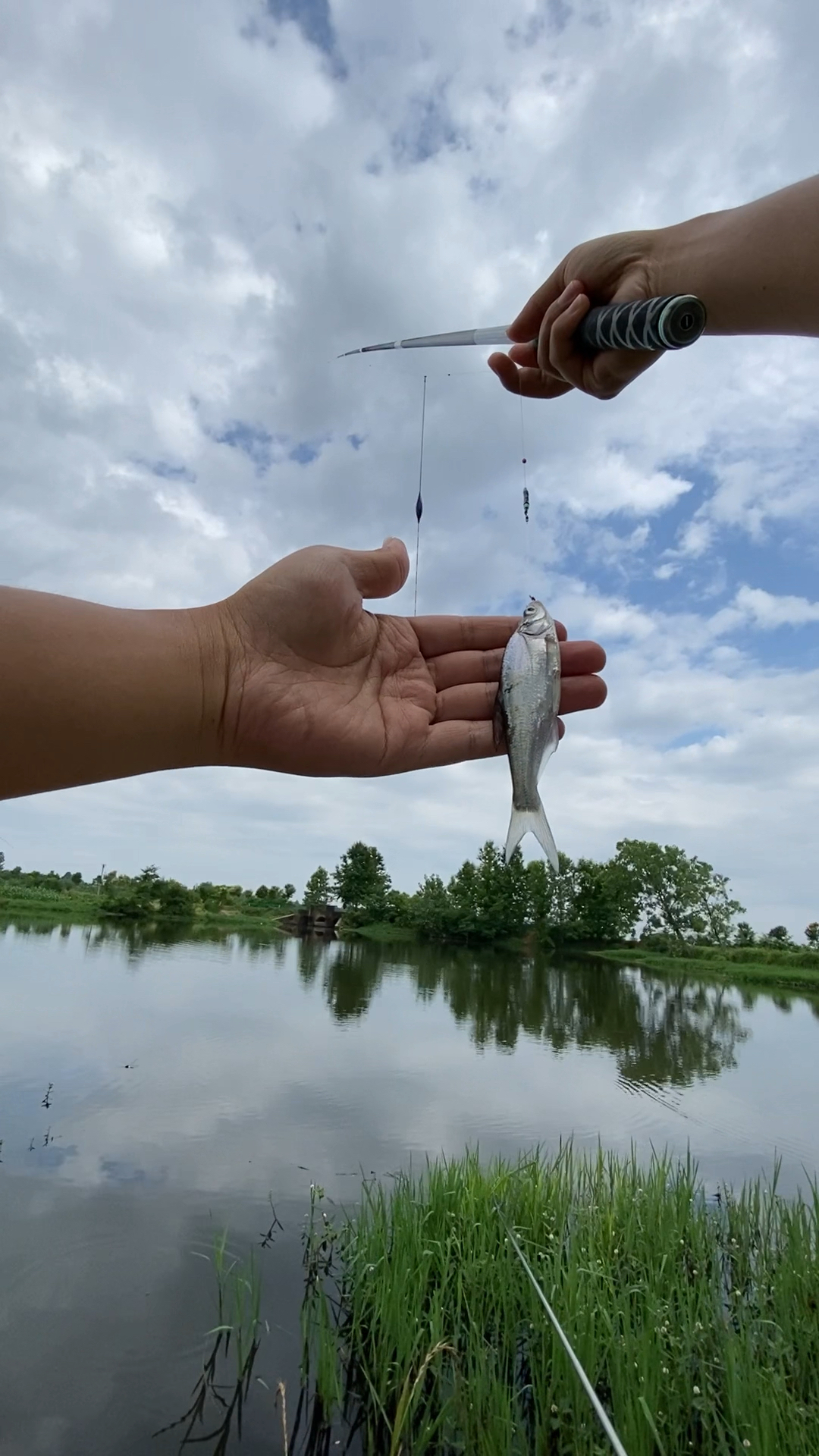 钓了条鱼,是翘嘴还是弓背?