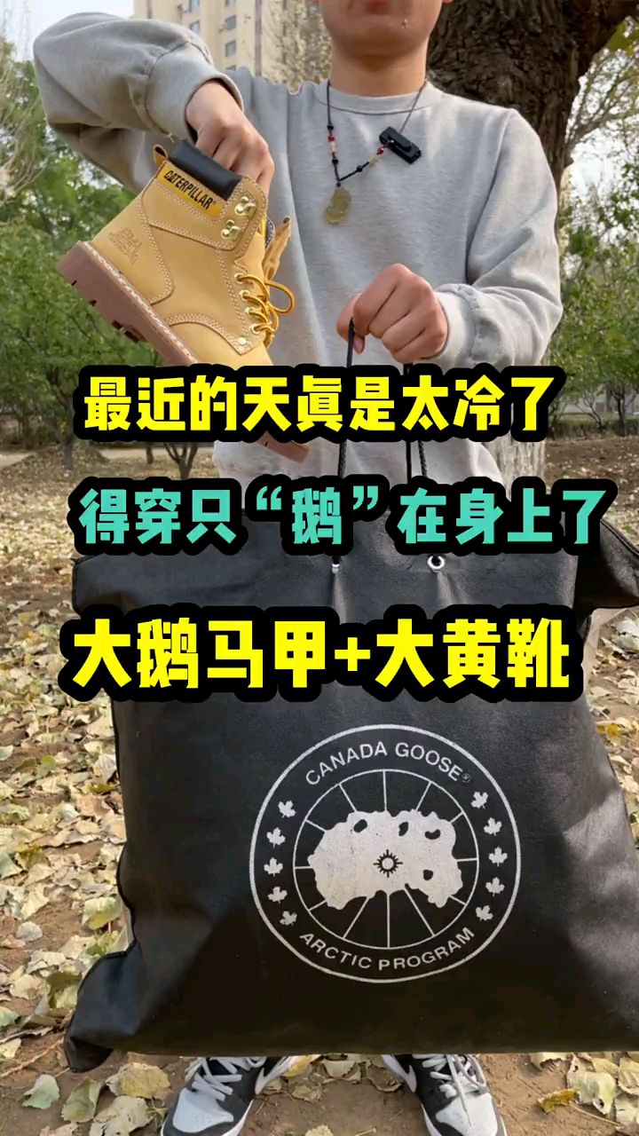 大鹅羽绒服马甲