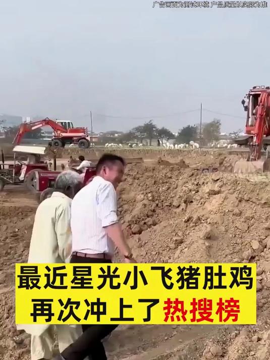 胡椒猪肚鸡汤 猪肚鸡汤简单煲，汤鲜味美不复杂，暖身又营养，我家孩子很爱吃 #开袋即食# #