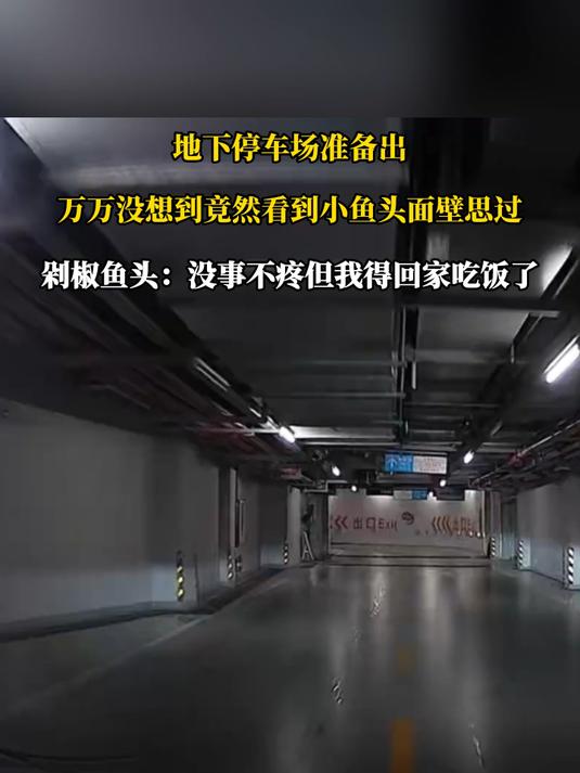 刚准备出地下停车场,万万没想到竟然看到小鱼头面壁思过