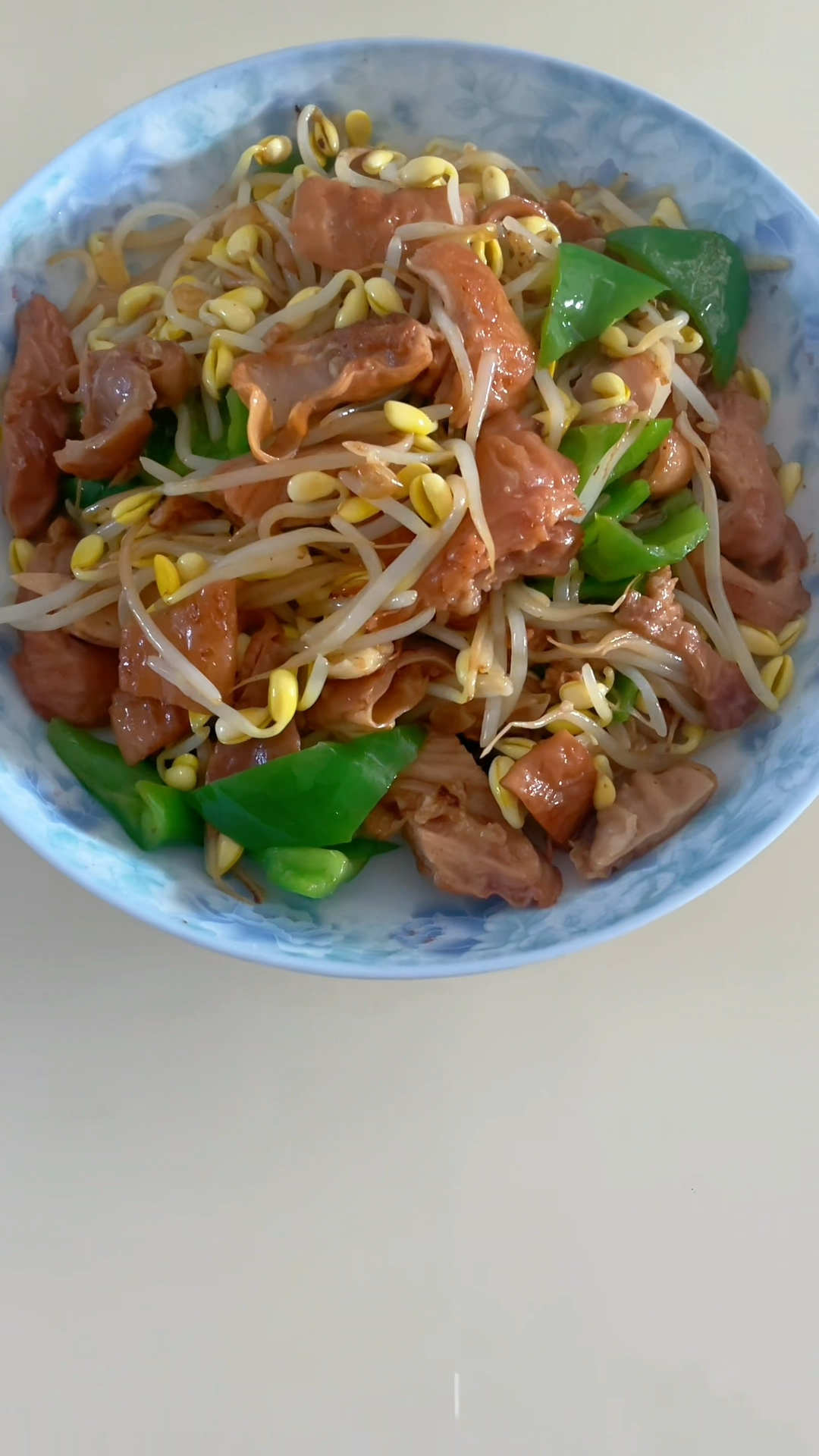 肥肠炒大豆芽
