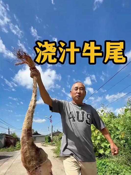 今天美食菜系红烧牛尾,必须吃过瘾了太得劲了