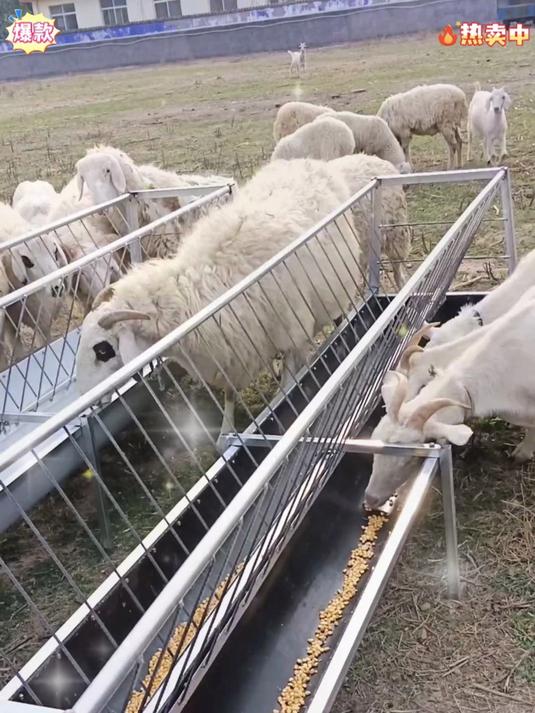 喂羊食槽双面槽干湿两用输送带皮底带草料架子结实耐用养殖家用