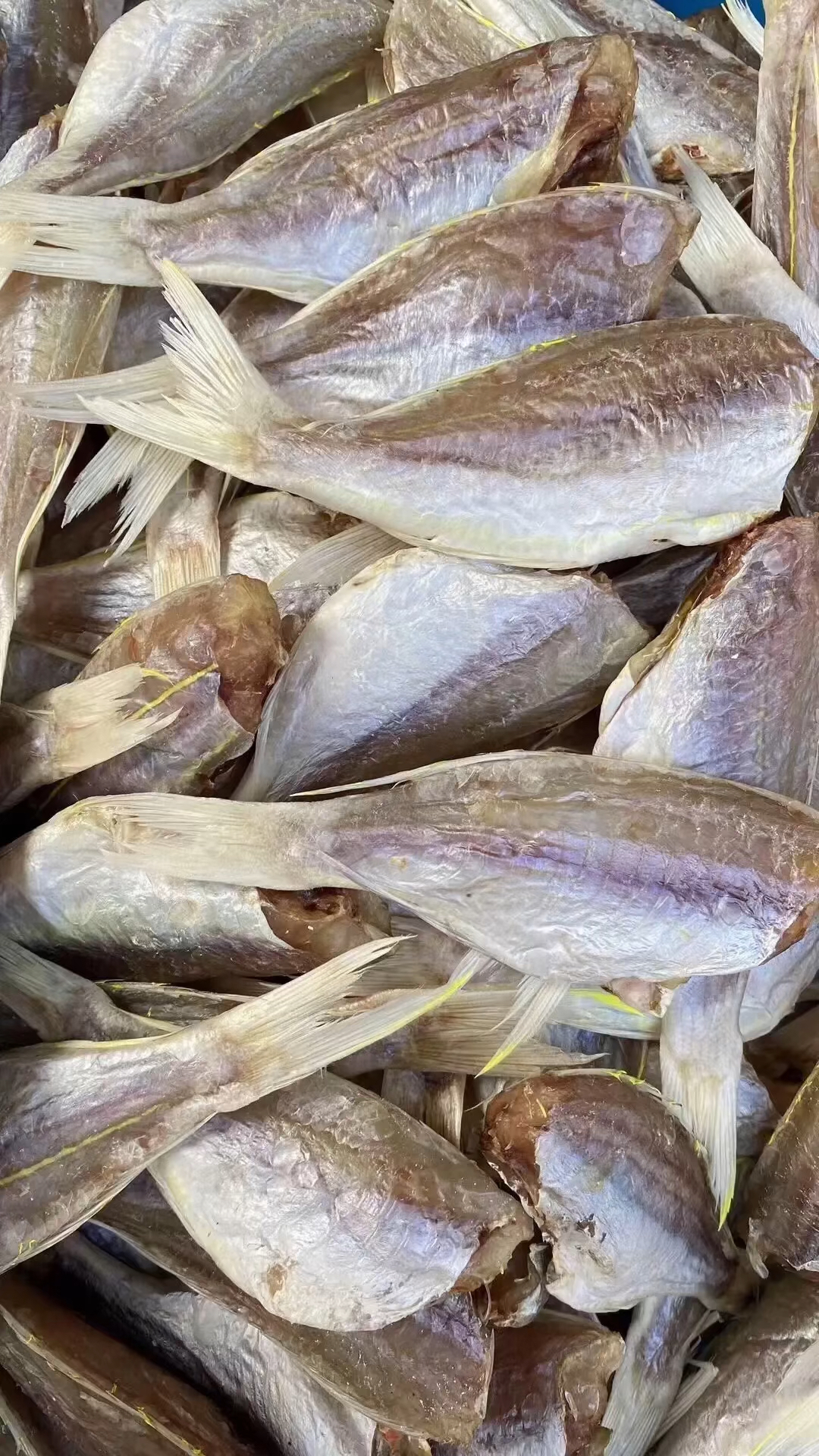 红三鱼干 非常下饭