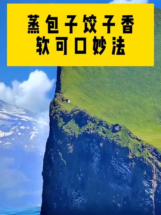 生活小技巧蒸包子饺子香软可口妙法