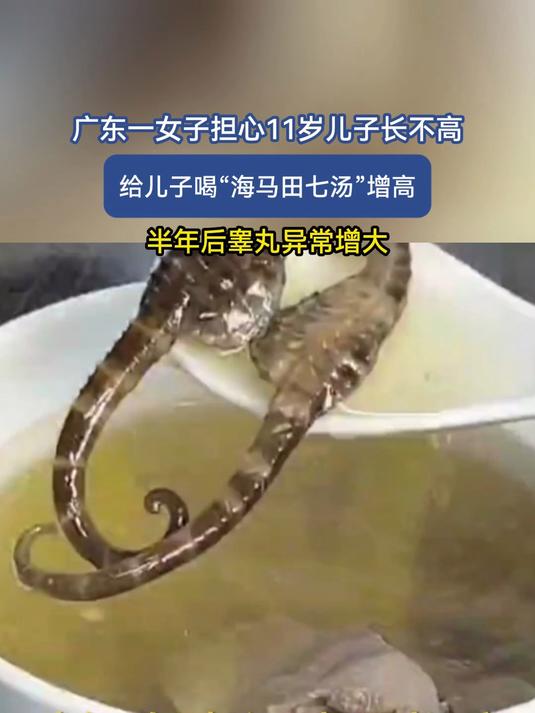 广东一女子担心11岁儿子长不高，给儿子喝“海马田七汤”增高