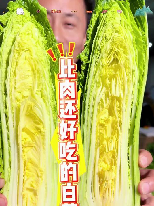 龙芽菜_无筋无丝开锅烂包包子包饺子巨好吃！