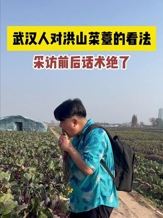 据说这种有着金殿御菜之称的蔬菜只有武汉的最正宗