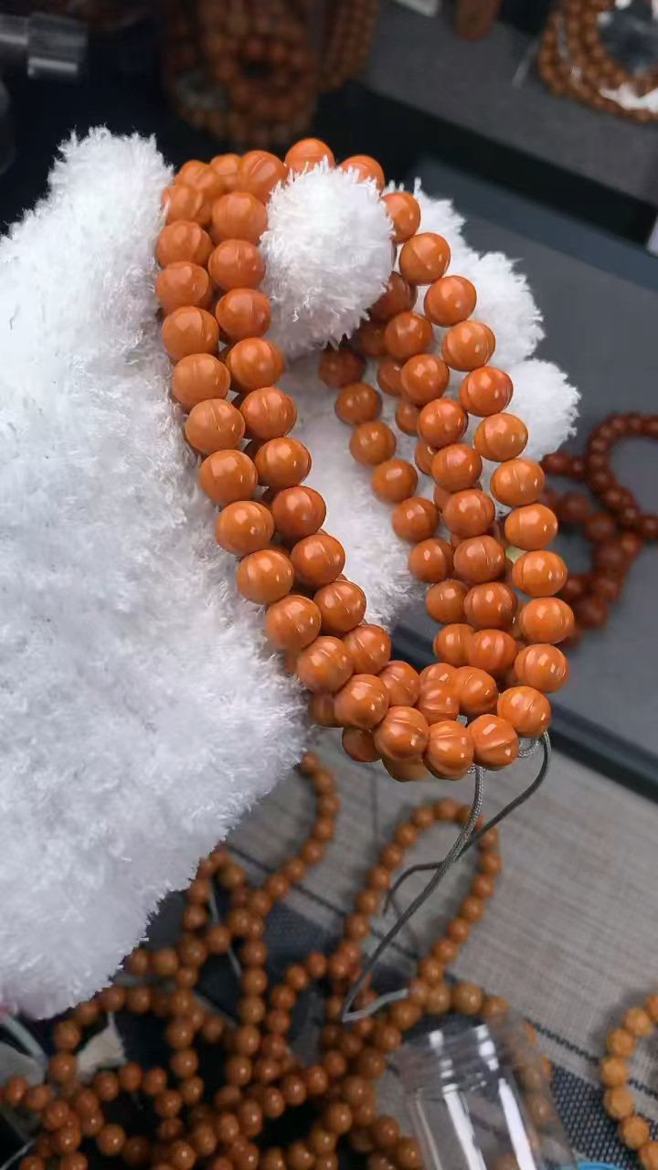 矮桩飞碟四花鲨鱼鳍,全品无瑕,尺寸1.0左右,精挑114颗,一条足矣毕业