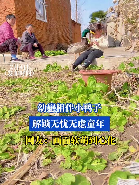 幼崽相伴小鸭子 解锁无忧无虑童年 网友：画面软萌到心化