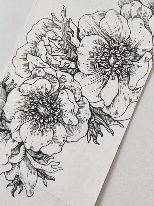 有手就会的花花 朋友说折页里最喜欢这个 黑白线描画